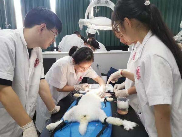04(001)